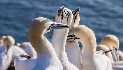 半岛体育娱乐-华体会app：让体育精彩触手可及的全新体验