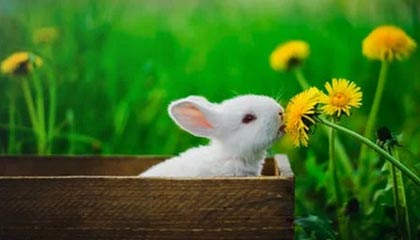 半岛体育娱乐-华体会app：让体育精彩触手可及的全新体验